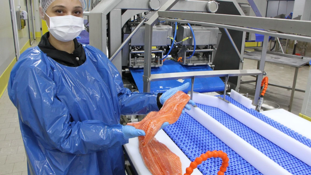 Su ürünleri ve Hayvansal Mamuller İhracatında Ege Bölgesi Zirvede 