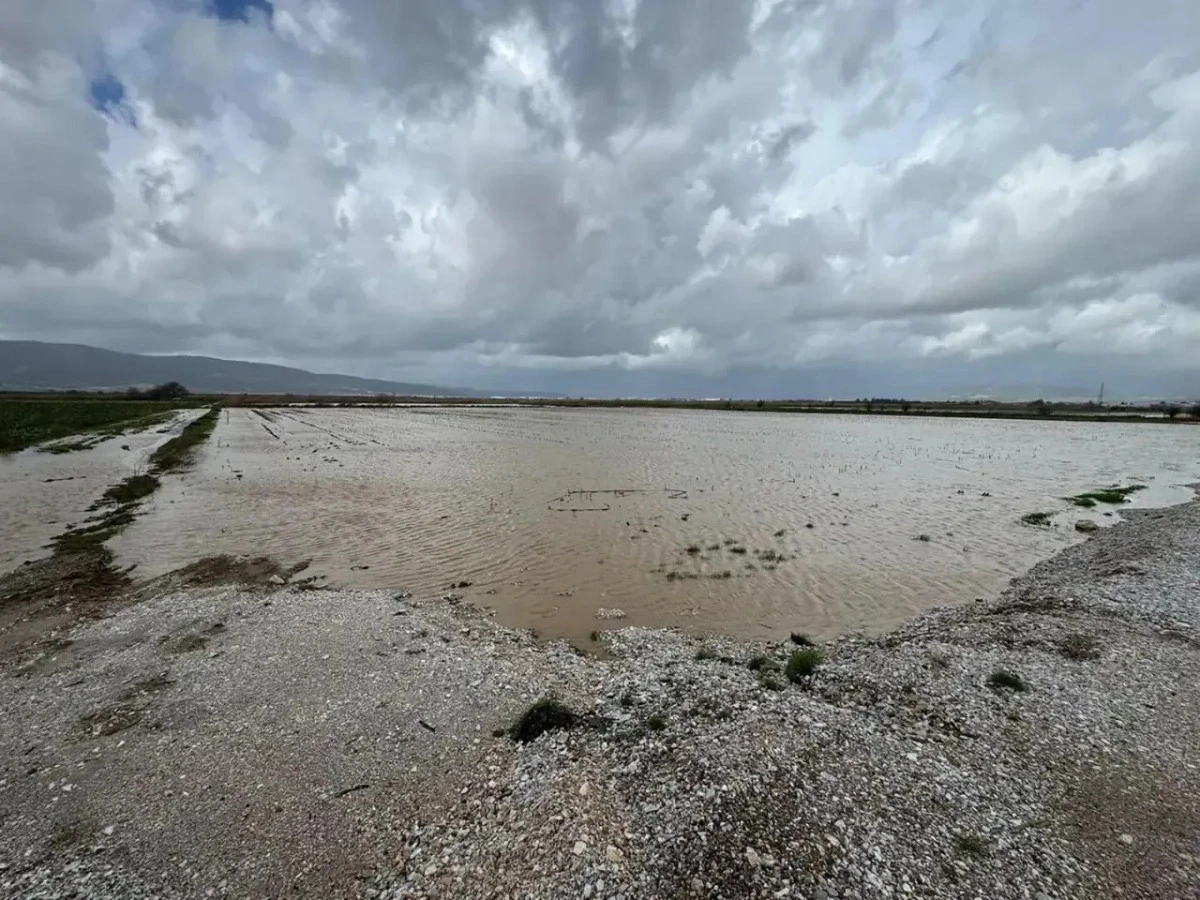 Torbalı&rsquo;da yağış &uuml;reticiye umut oldu