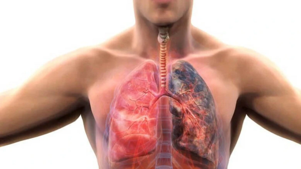 Türk Toraks Derneği'nden Koah Bildirisi