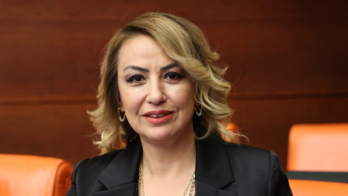 Yıldırım Kara'dan Maden Yönetmeliği Eleştirisi