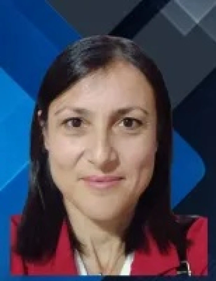 Berrin GÜRSOY İPLİKÇİ